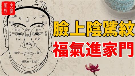 陰騭紋長什麼樣子|面相小常識：什麼是陰騭紋！